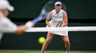 Wimbledon señala un "error humano" en el fallo del arbitraje automático