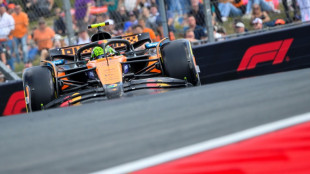 Norris domina o dia de treinos livres nos Países Baixos; Alonso fica em segundo