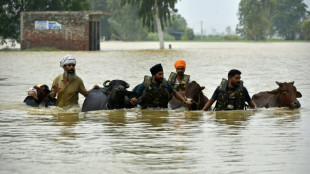 Villages marooned after deadly floods in India's Punjab