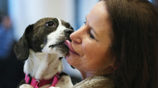You're crying! Study shows dogs get teary-eyed when they reunite with owners