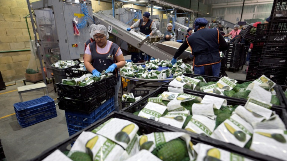 Abacate mexicano segue em alta no Super Bowl apesar das amea&ccedil;as de Trump