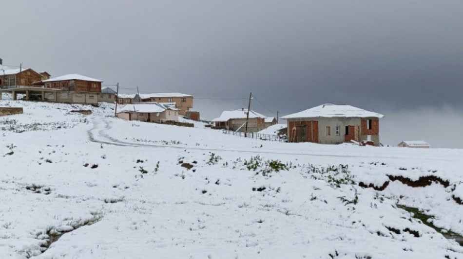 Heavy snow hits Turkey's northeast as wildfires rage