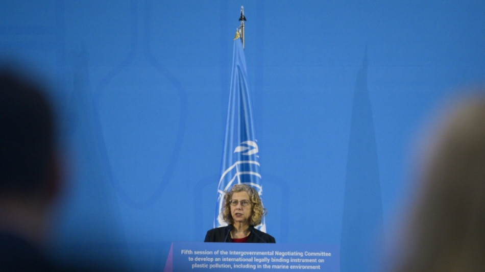 La ONU apuesta por un panel científico para minimizar los efectos de los químicos en la contaminación