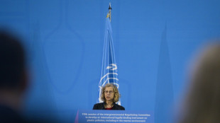 La ONU apuesta por un panel científico para minimizar los efectos de los químicos en la contaminación