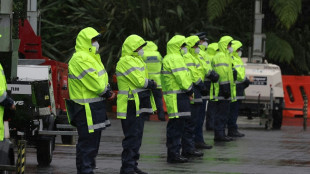 Kiwi cops blast use of Barry Manilow songs to clear protesters
