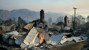 Esperanza por tregua del viento en la lucha contra los incendios de Los &Aacute;ngeles