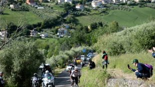 Tour d'Italie: apr&egrave;s un d&eacute;but cauchemardesque, Narvaez fait briller UAE