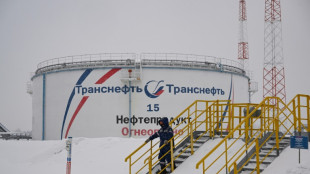 Arabia Saudita y Rusia prolongan los recortes de su producción de crudo para impulsar los precios