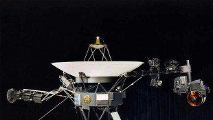 NASA's Voyager 1 phones home after months