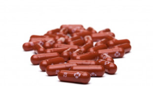 La píldora anticovid de Merck se mantiene "activa" contra ómicron, dice la empresa