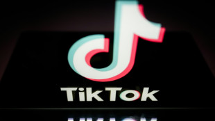US Congress to take on TikTok ban bill -- again
