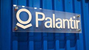 Deutscher Nato-General lobt umstrittene Palantir-Software  