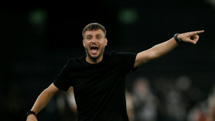 Botafogo demite t&eacute;cnico argentino Mart&iacute;n Anselmi