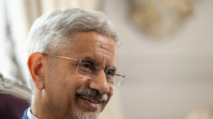 India a voice for Global South at G7, says foreign minister