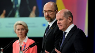 Ukrainischer Regierungschef dankt Deutschland ausdr&uuml;cklich f&uuml;r Waffenlieferungen