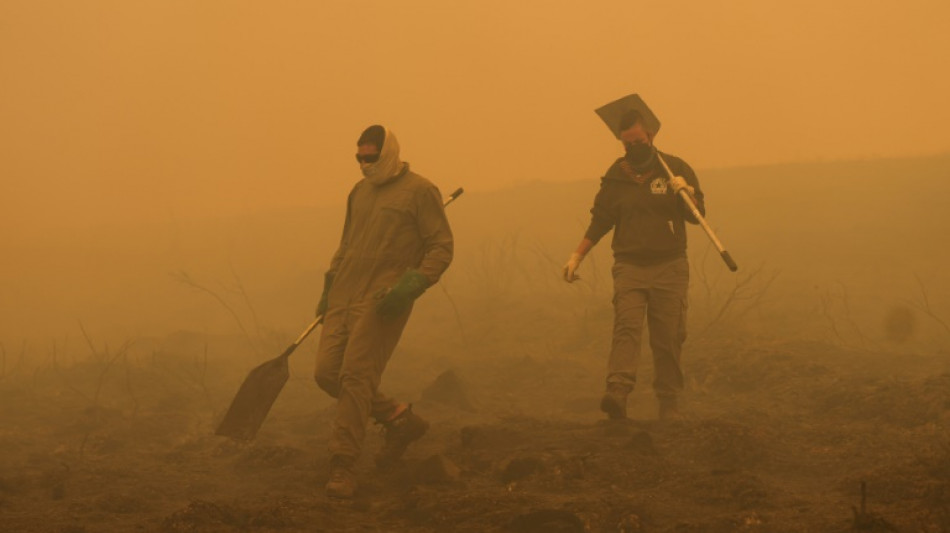 Record EU wildfires burnt more than 1 mn hectares in 2025: AFP analysis