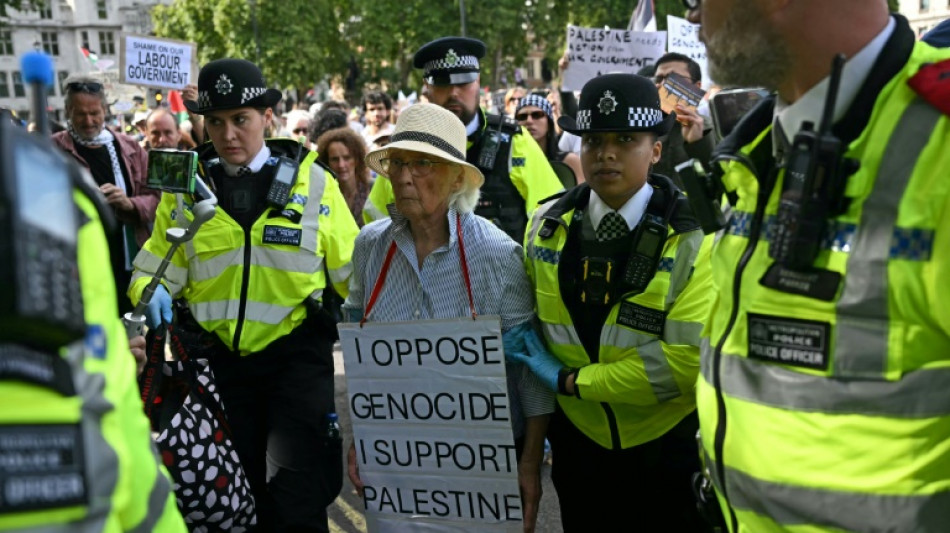 UK police arrest hundreds in latest Palestine Action demo