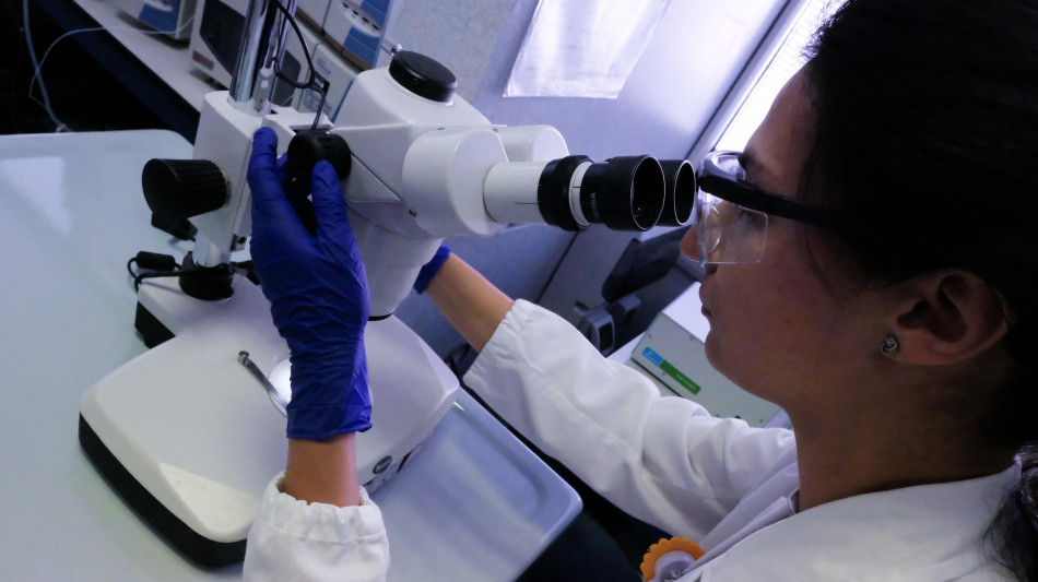 Successo sui topi da una terapia genica per 2 malattie rare