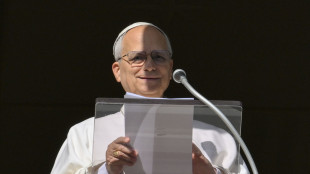 Il Papa, 'umanità provata,ora si aprano le porte della pace'