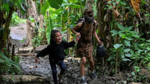 Panama halts migrant aid in Darien jungle: MSF