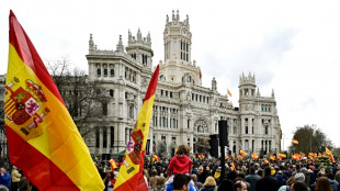 Espagne: des milliers de manifestants contre la vie ch&egrave;re &agrave; l'appel de l'extr&ecirc;me droite