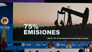 Deutschland: Konferenz in Santa Marta ist "Meilenstein" f&uuml;r Ausstieg aus fossilen Energien