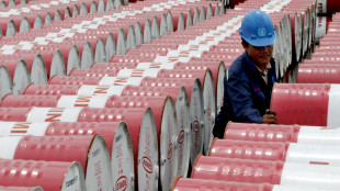 Il petrolio chiude in calo a New York a 93,89 dollari