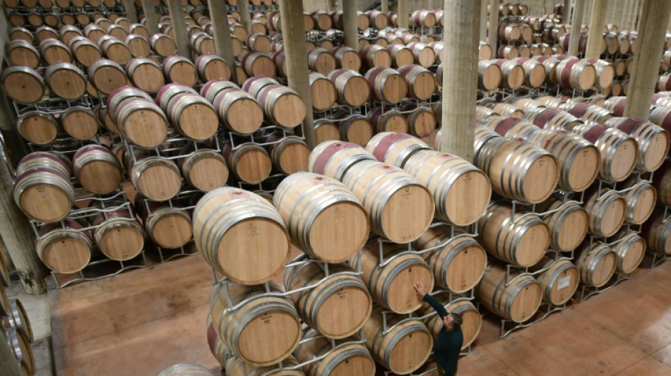 Italy to remain top wine producer in world: 2025 estimates