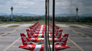 Snake on a plane: AirAsia jet forced to divert