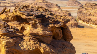 Dakar: Variawa vince nelle auto, Al Attiyah in testa alla classifica