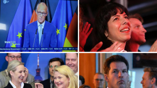 Risultati preliminari, Afd vince in Pomerania con il 38,2%. Spd &egrave; seconda al 35,5 (2)