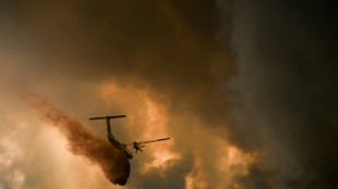 New wildfire outbreaks feared as blazes rage in France