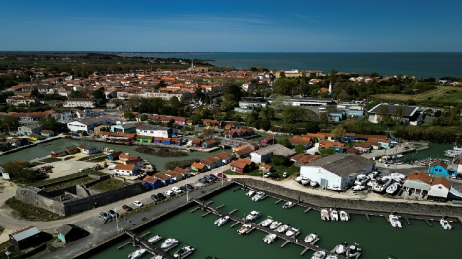 Taxe de s&eacute;jour &agrave; Ol&eacute;ron: la "proportionnalit&eacute;" des amendes d'Airbnb conforme &agrave; la Constitution
