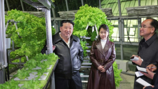 Daughter of North Korea's Kim might be heir apparent: Seoul