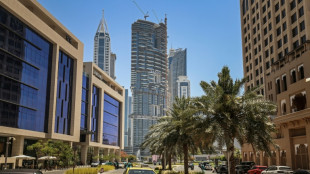 'The Donald of Dubai': property tycoon seeks to become data king