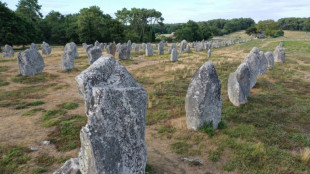 Huge complex of 500 standing stones found in Spain