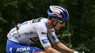 Lipowitz rettet Platz drei - Pogacar vor Tour-Sieg