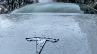 Tesla undertaking 4th car recall in two weeks