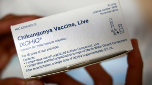 Chikungunya à La Réunion: "épidémie généralisée et majeure", qui continue de progresser