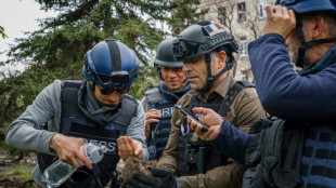 En Ukraine, la petite histoire de h&eacute;risson du reporter de l'AFP Arman Soldin