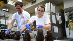 Neuverträge in dualer Ausbildungen sinken leicht 