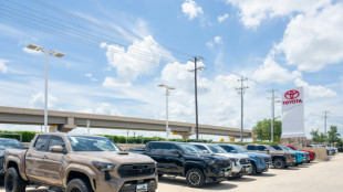 Trump tariffs a mixed bag for US auto industry