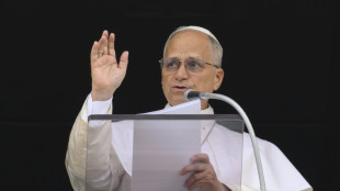 Papst verurteilt j&uuml;ngste Gewaltwelle in Mali und im Tschad
