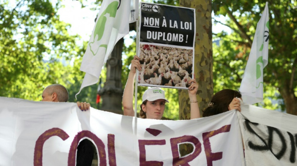 Un alto tribunal de Francia veta la reintroducci&oacute;n de un criticado pesticida