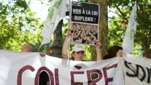 Un alto tribunal de Francia veta la reintroducci&oacute;n de un criticado pesticida