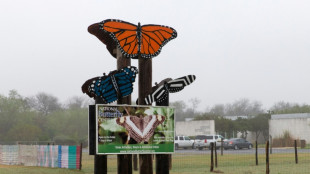Texas butterfly sanctuary shuts citing threats from Trump supporters