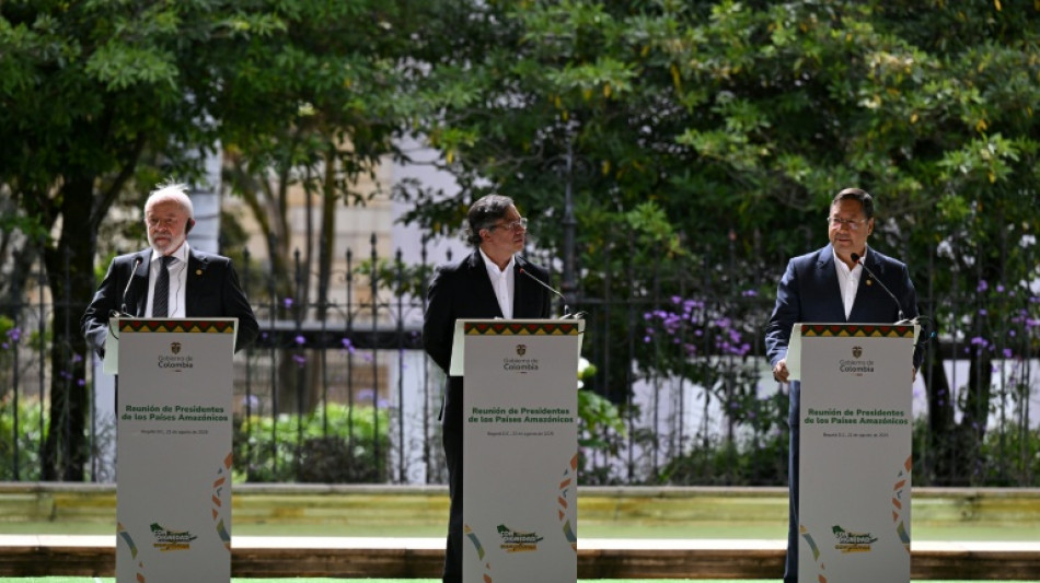 Brasil, Col&ocirc;mbia e Bol&iacute;via unem for&ccedil;as pela Amaz&ocirc;nia de olho na COP30