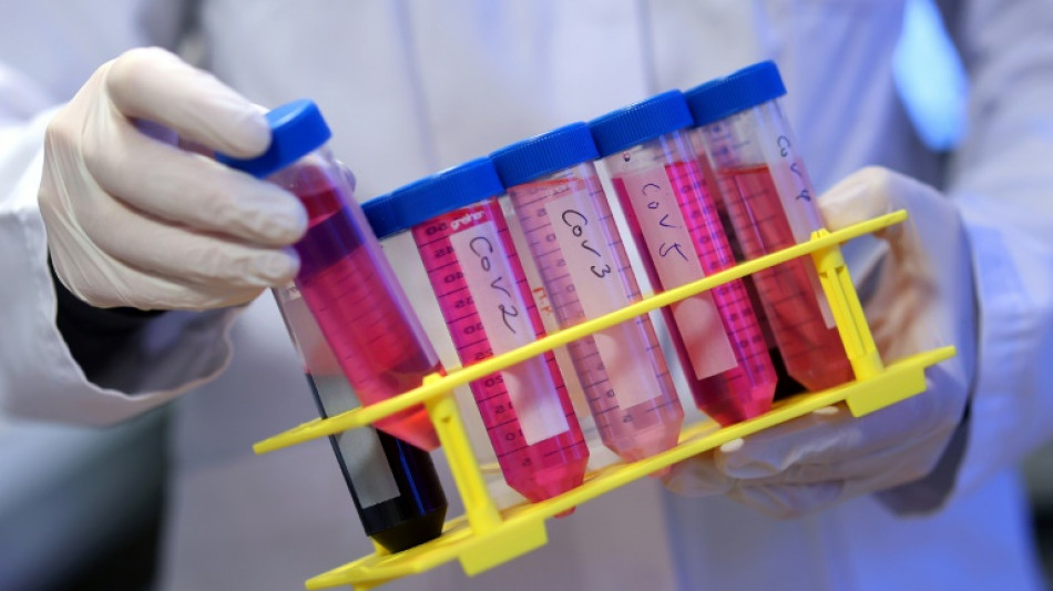 Vacciné 217 fois contre le Covid sans effet secondaire: le cas d'un Allemand étudié par des scientifiques