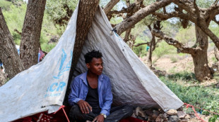 Toll from Yemen clashes passes 300 as civilians flee homes