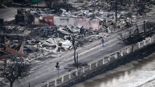 Lo que se sabe sobre los incendios que arrasan Haw&aacute;i